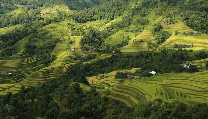 Hoang-su-phi